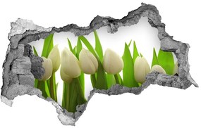 3d lyuk fal dekoráció Fehér tulipán nd-b-40774671