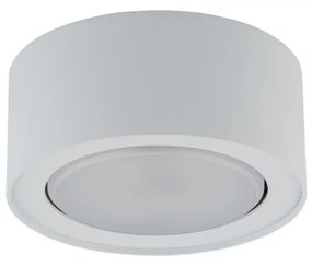 NOWODVORSKI-8202 FLEA Fehér Színű Mennyezeti Lámpa 1XGX53 12W IP20