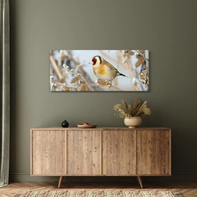 Kép - Aranypinty (120x50 cm)