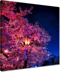 Vászonkép 40x40 Hálószoba motívum Lámpa