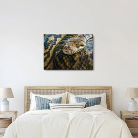 Kép - Piton (70x50 cm)