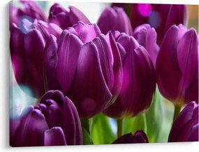 Tulipán képe (70x50 cm)
