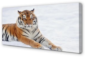 Canvas képek Tiger tél 125x50 cm