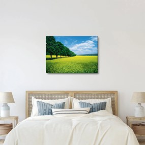 A mező képe egy sikátorral (70x50 cm)