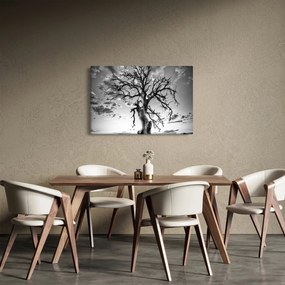 Kép - fekete fehér fa (90x60 cm)