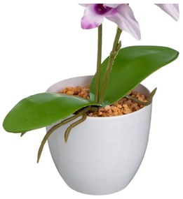 Művirág (magasság 43 cm) – Casa Selección