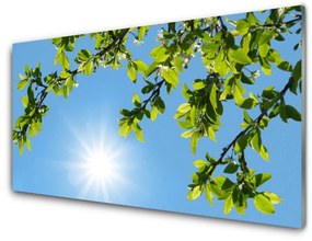 Fali üvegkép nap Nature 125x50 cm