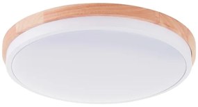 Brilliant - LED Dimmelhető mennyezeti lámpa BAARLO LED/24W/230V átm. 35 cm fehér