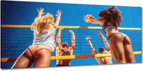 Vászonkép 150x70 Strandröplabda