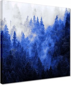 Vászonkép 30x30 Kék táj Hegyek