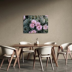 Kaktusz virágának képe (üvegen) (70x50 cm)
