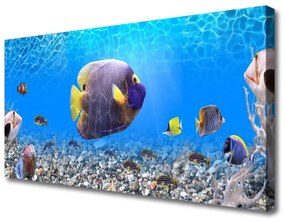 Vászonkép hal Természet 100x50 cm