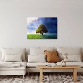 Kép - Éjjel - nappal (üvegen) (70x50 cm)