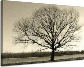 Vászonkép Sötét fekete fa Szomorúság 120x80 cm Ideális ajándék