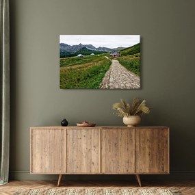 Kép - Hegyi táj házakkal (90x60 cm)
