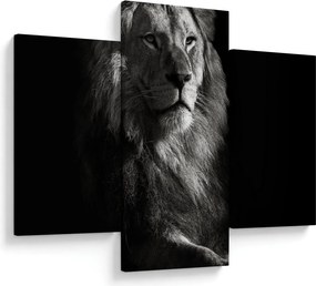 Kép - Oroszlán (90x60 cm)