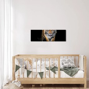 Kép - Tigris (órával) (90x30 cm)