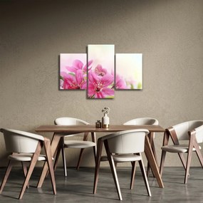 Kép - Rózsaszín virágok (90x60 cm)