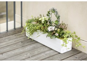 Plastia Berberis 60 önöntöző láda, fehér + zöld, 60 cm