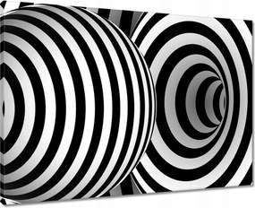 Vászonkép 70x50 Absztrakt fekete-fehér