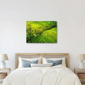 Kép - Rizs teraszok (üvegen) (70x50 cm)