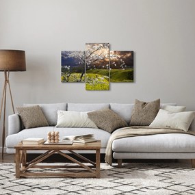 Kép - Virágzó fa az országban (90x60 cm)