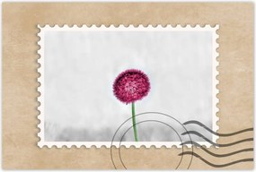 Poszter 60x40 Rózsaszín pitypang virág