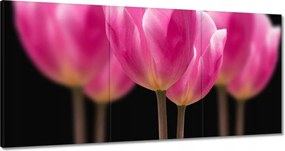Vászonkép 120x60 Tulipánok Virágok