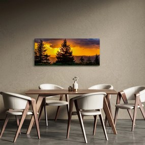 Kép - tűlevelűek (120x50 cm)