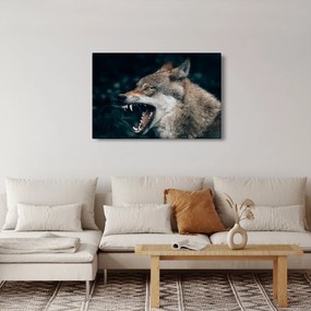 Farkas képe (90x60 cm)
