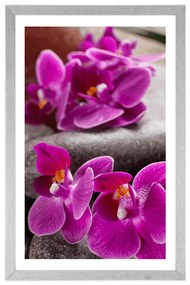 Poszter paszportuval csodás orchidea Zen kövekkel