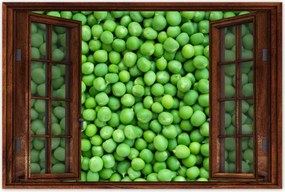 Poszter 60x40 Zöldborsó