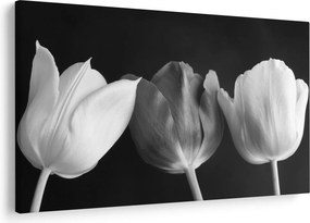 Kép - fekete-fehér tulipán virág (90x60 cm)