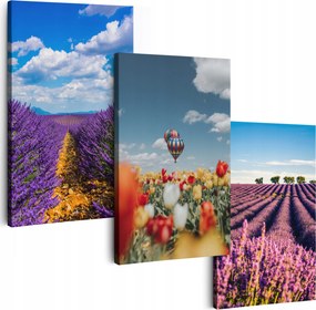 Vászonkép 180 cm **többféle minta** Képek A Nappaliba Triptichon Virágok