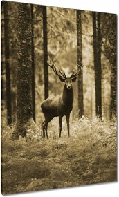 Vászonkép 70x100 Szarvas a szépia erdőben
