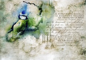 Flizelin fotótapéta Madár Vintage Retro Francia stílus 250x175 +ragasztó