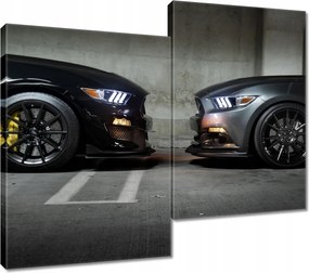 Vászonkép 80x70 Face to face Mustang