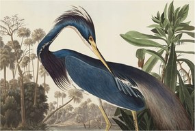 Divatos Flizelin Tapéta Fali Furnér Egzotikus természet 104x70 Ragasztó