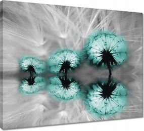 Vászonkép 50x40 Türkiz pitypang virág
