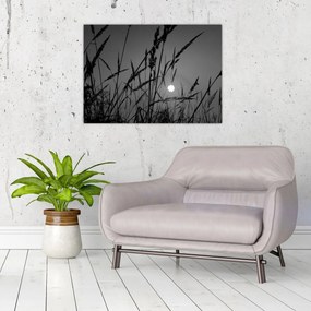 Kép - rét naplementével (70x50 cm)