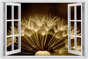 Poszterek 60x40 Pitypang Virág Virágok