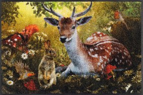 Lábtörlő bejárati szőnyeg|Wash+Dry|Forest Whisper 50x75cm