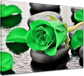 Vászonkép 50x40 Zöld rózsa kövek
