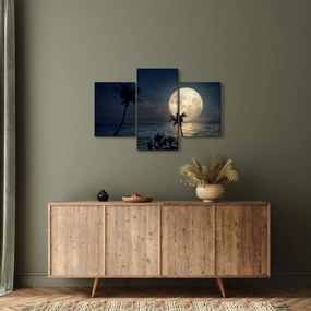 Kép - Strand teliholddal (90x60 cm)