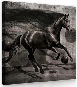 Vászonkép 40x40 Ló futás ugrás sebesség erő kecsesség dinamika mozgás energia fekete