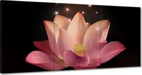 Vászonkép 180x90 Rózsaszín lótuszvirág