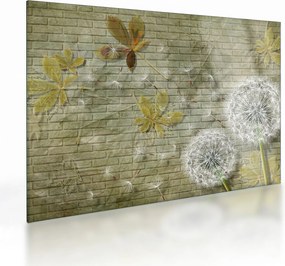 Kép - A szél által hordozott pitypang (üvegen) (70x50 cm)