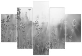 Kép - Levendula (150x105 cm)