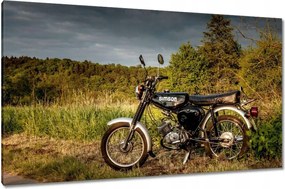 Vászonkép 120x70 Fekete Simson