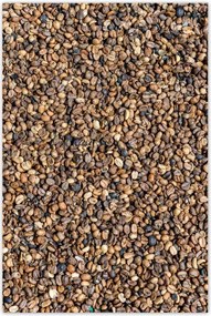 Poszterek 80x120 Kávé Kaffe